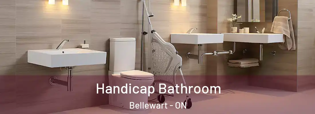  Handicap Bathroom Bellewart - ON