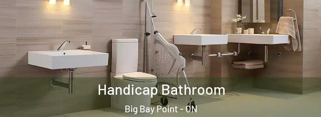  Handicap Bathroom Big Bay Point - ON