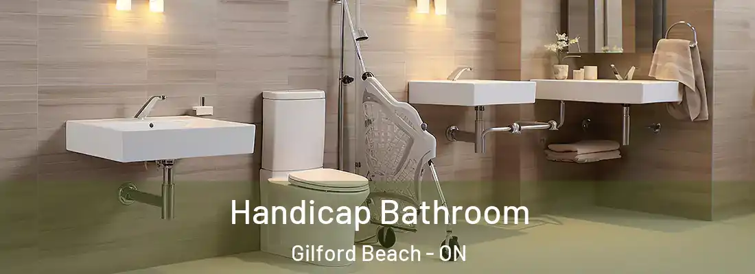 Handicap Bathroom Gilford Beach - ON