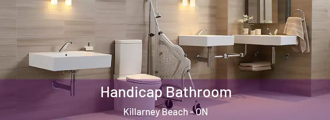  Handicap Bathroom Killarney Beach - ON