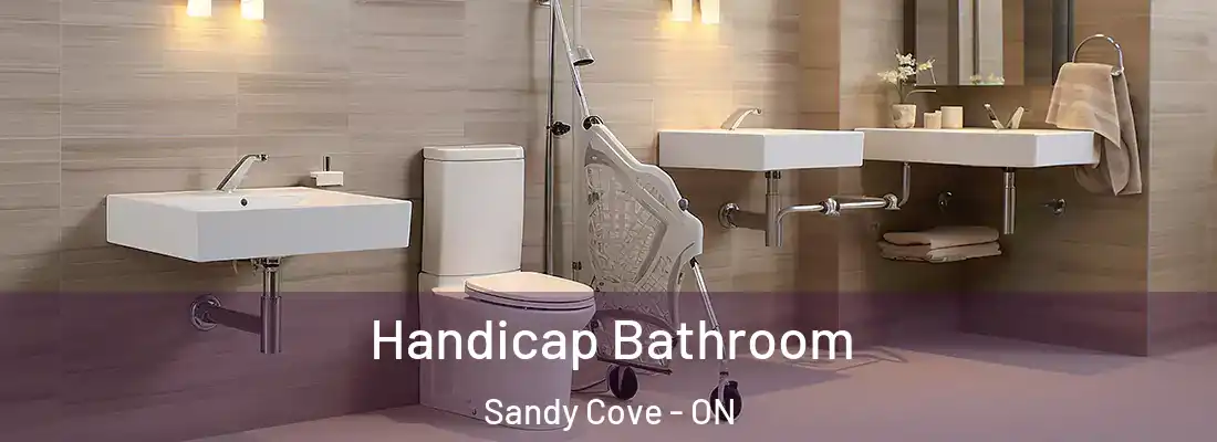  Handicap Bathroom Sandy Cove - ON