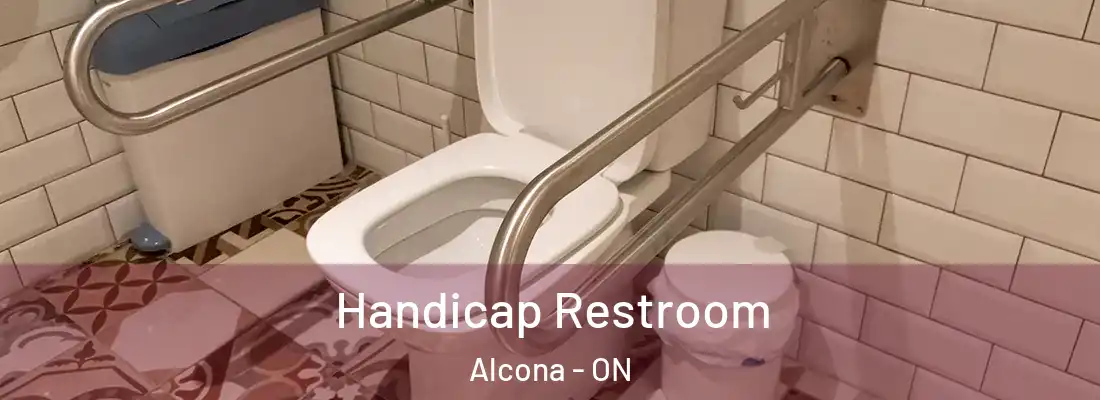  Handicap Restroom Alcona - ON