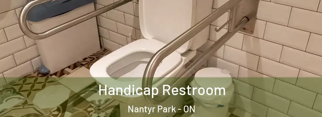  Handicap Restroom Nantyr Park - ON