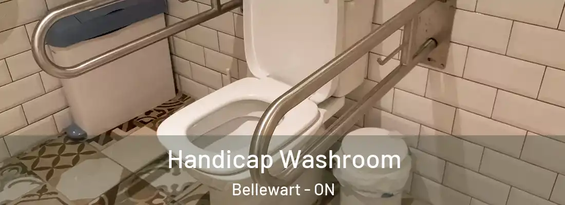  Handicap Washroom Bellewart - ON