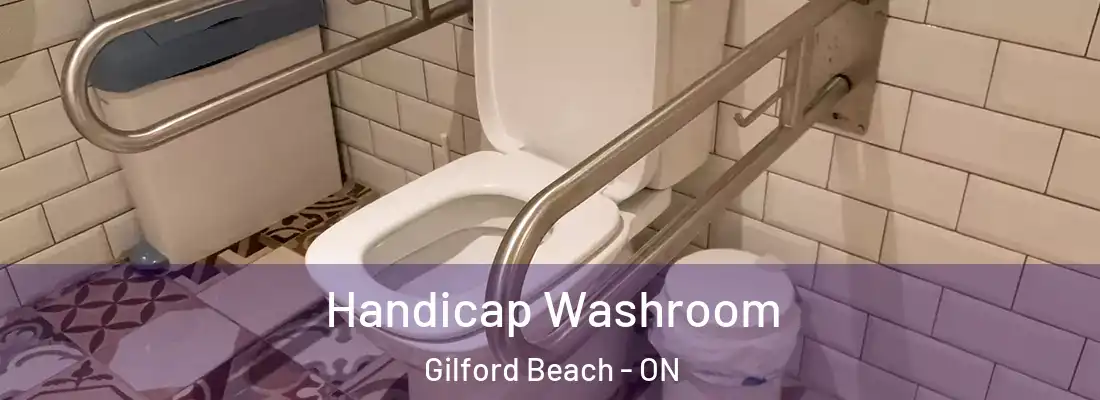  Handicap Washroom Gilford Beach - ON