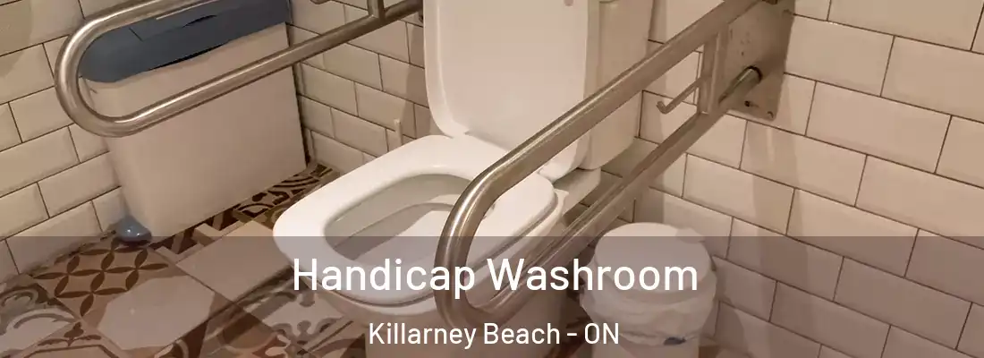  Handicap Washroom Killarney Beach - ON