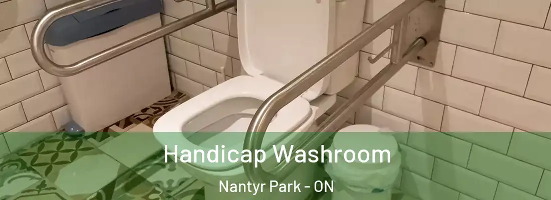  Handicap Washroom Nantyr Park - ON