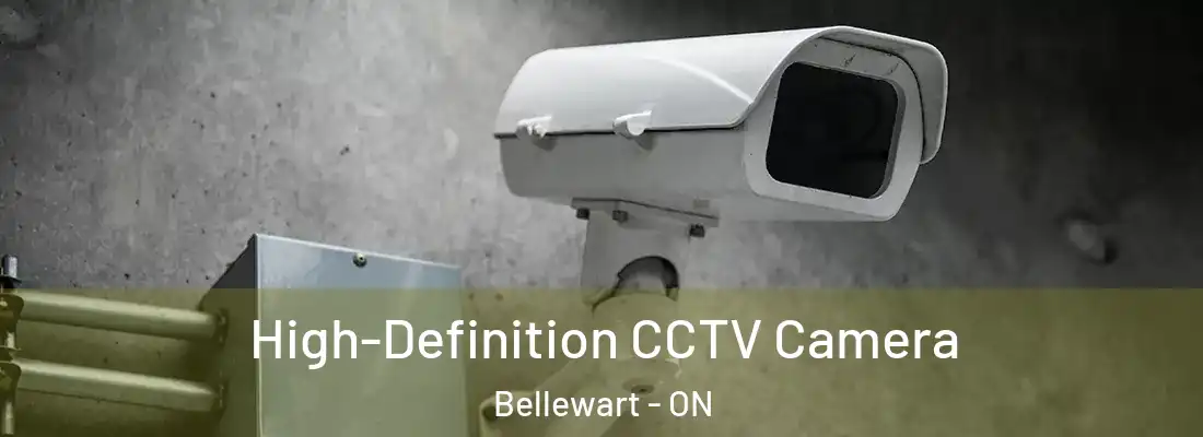  High-Definition CCTV Camera Bellewart - ON