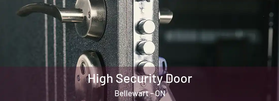  High Security Door Bellewart - ON