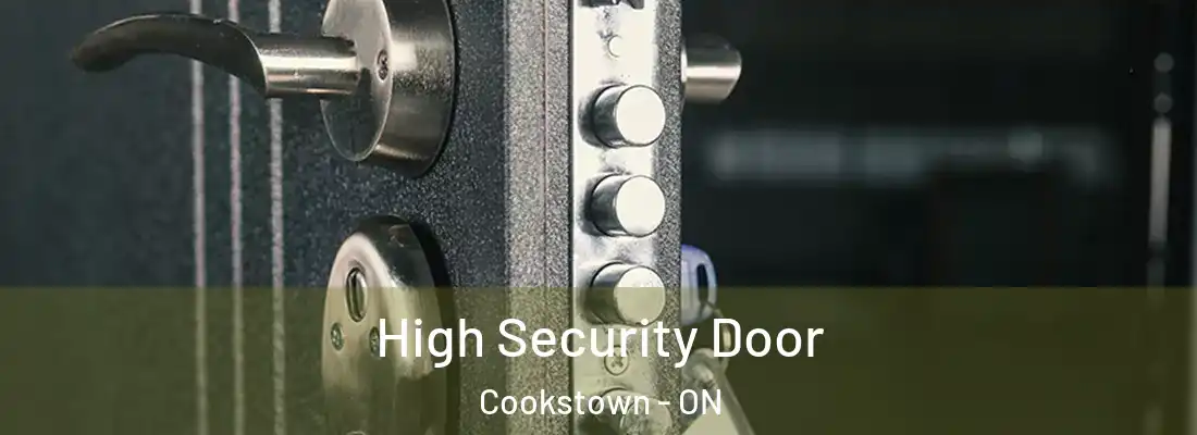  High Security Door Cookstown - ON