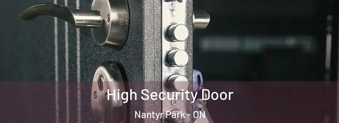  High Security Door Nantyr Park - ON