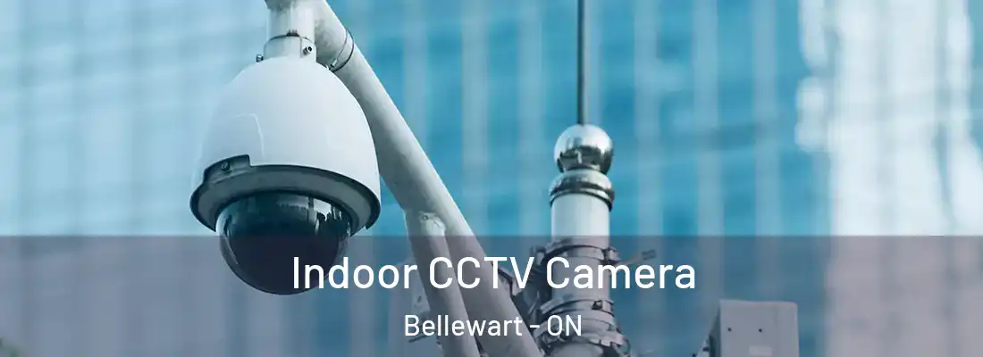 Indoor CCTV Camera Bellewart - ON