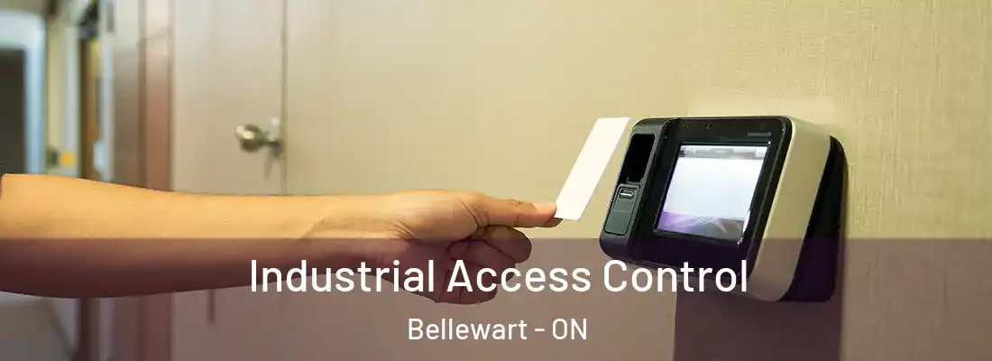  Industrial Access Control Bellewart - ON