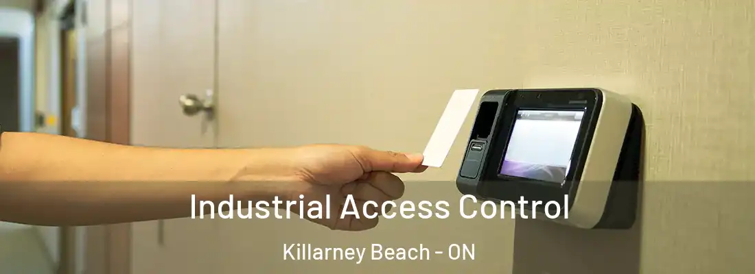  Industrial Access Control Killarney Beach - ON