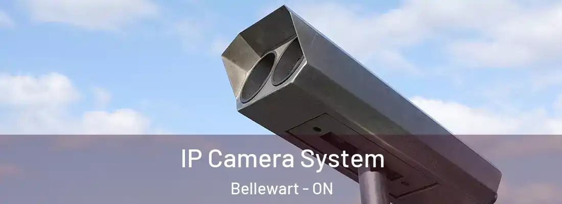  IP Camera System Bellewart - ON