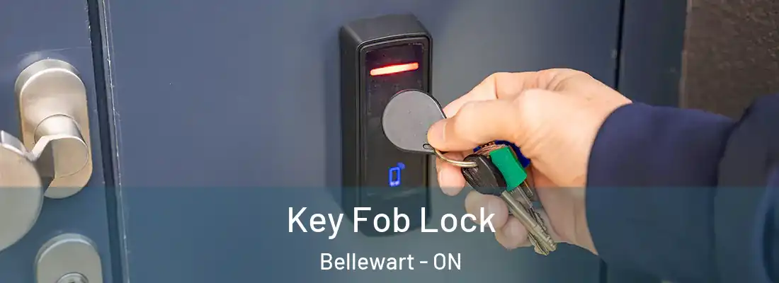  Key Fob Lock Bellewart - ON