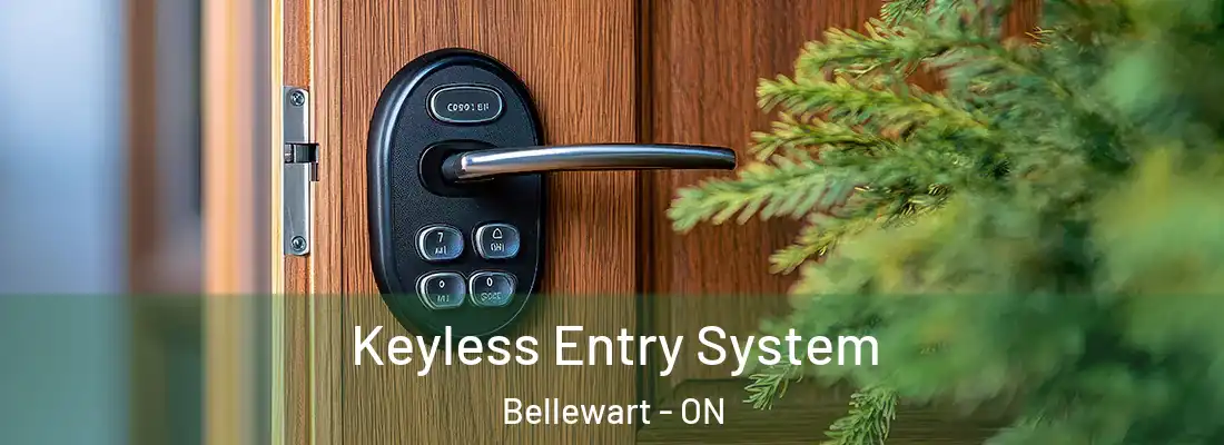  Keyless Entry System Bellewart - ON