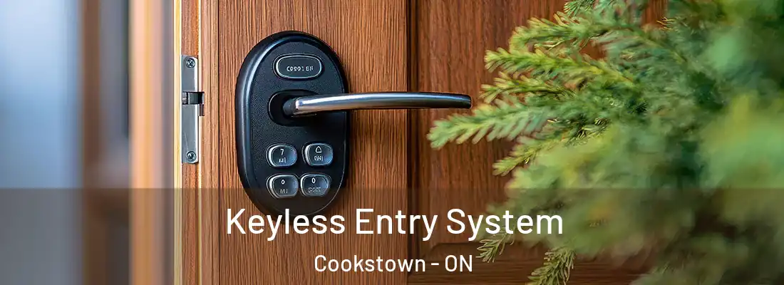  Keyless Entry System Cookstown - ON