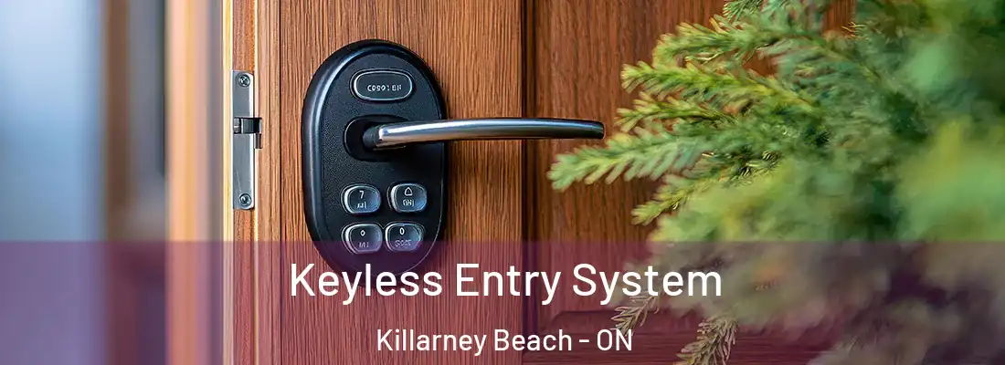  Keyless Entry System Killarney Beach - ON
