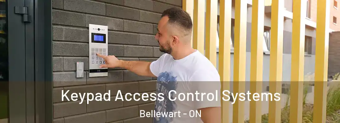  Keypad Access Control Systems Bellewart - ON