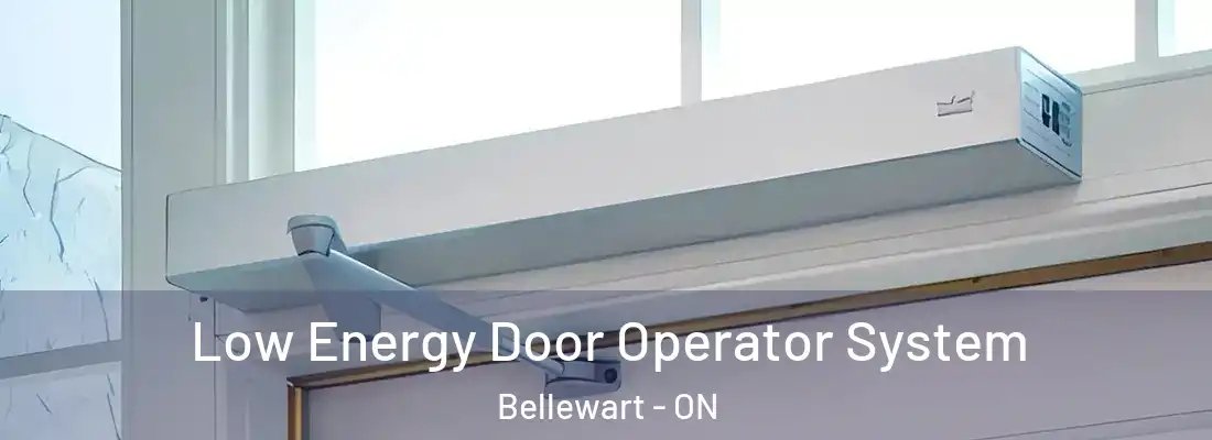  Low Energy Door Operator System Bellewart - ON
