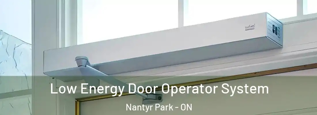  Low Energy Door Operator System Nantyr Park - ON