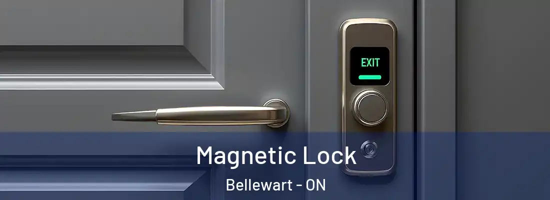  Magnetic Lock Bellewart - ON