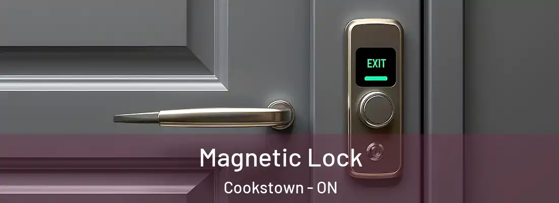 Magnetic Lock Cookstown - ON