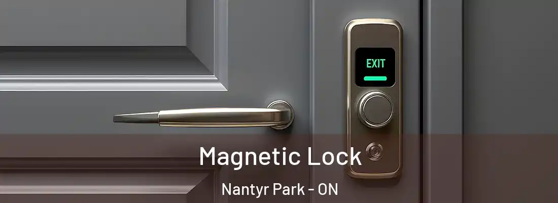  Magnetic Lock Nantyr Park - ON