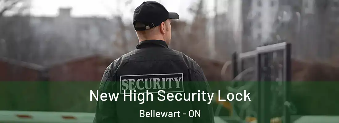  New High Security Lock Bellewart - ON