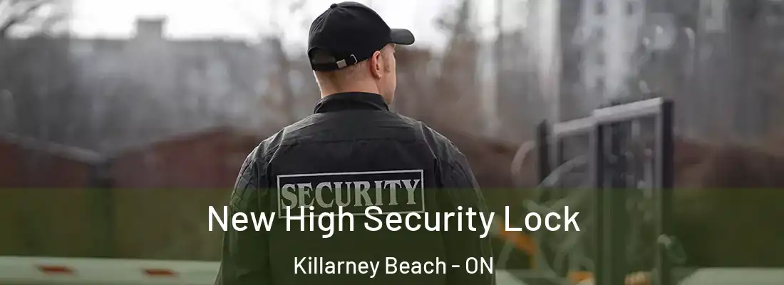  New High Security Lock Killarney Beach - ON