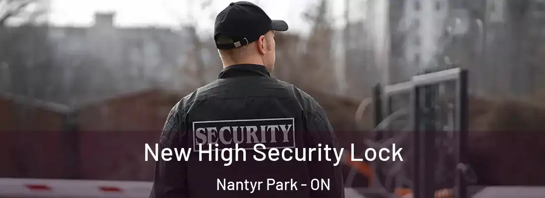  New High Security Lock Nantyr Park - ON