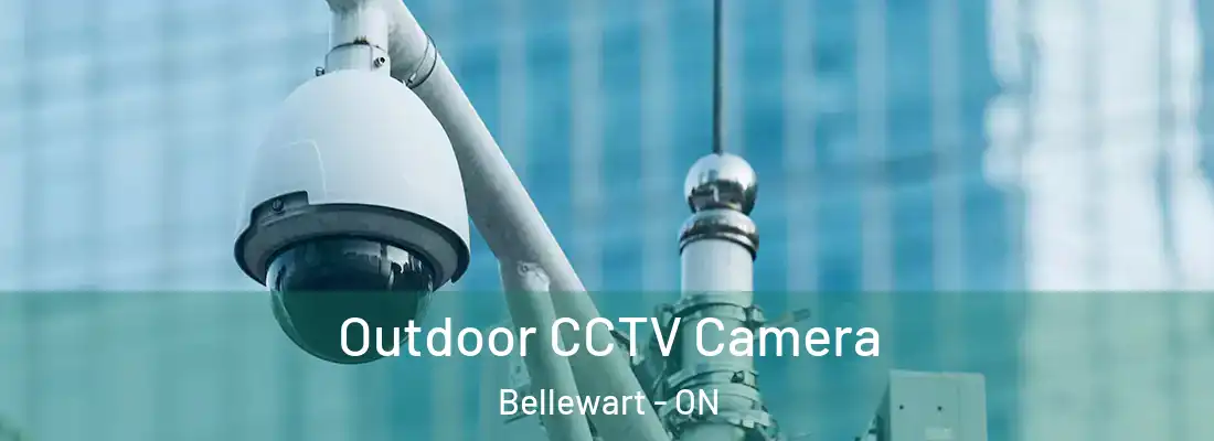  Outdoor CCTV Camera Bellewart - ON