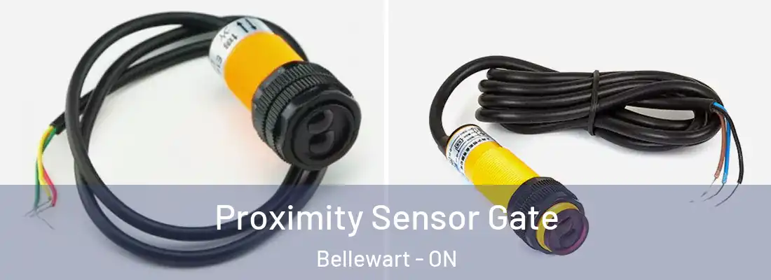  Proximity Sensor Gate Bellewart - ON