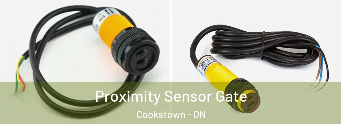  Proximity Sensor Gate Cookstown - ON