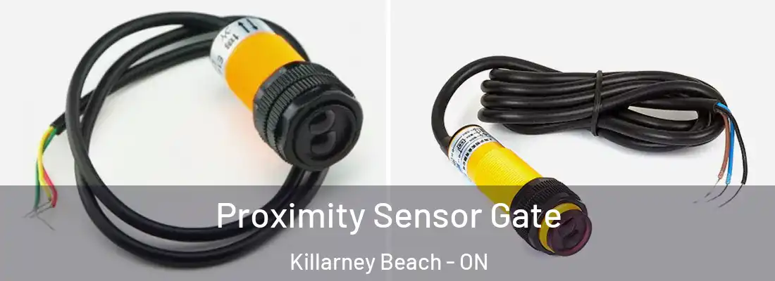  Proximity Sensor Gate Killarney Beach - ON