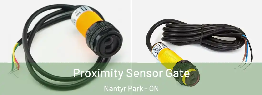  Proximity Sensor Gate Nantyr Park - ON