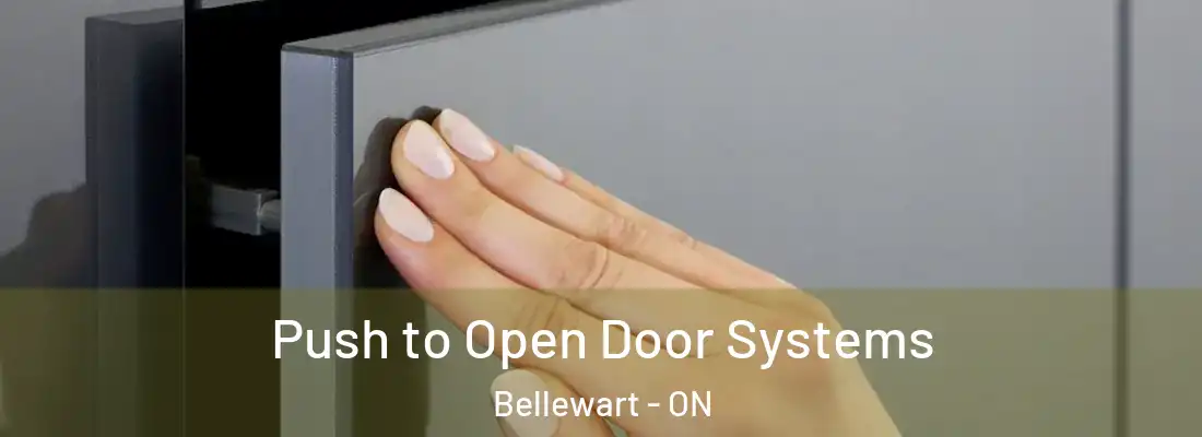  Push to Open Door Systems Bellewart - ON