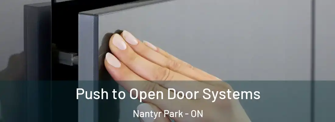  Push to Open Door Systems Nantyr Park - ON