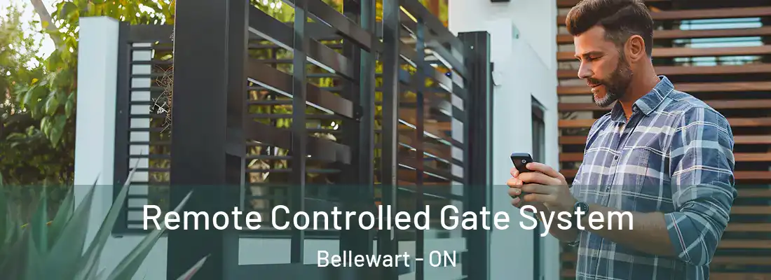  Remote Controlled Gate System Bellewart - ON