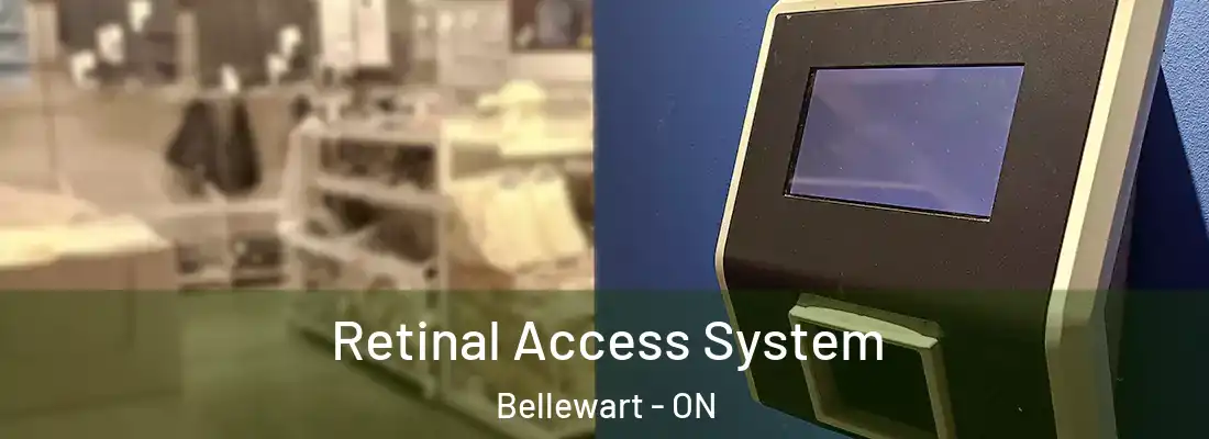  Retinal Access System Bellewart - ON