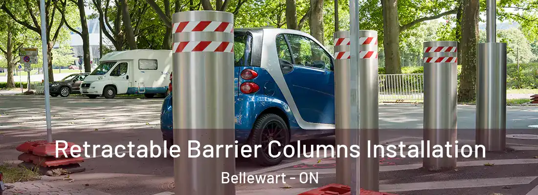  Retractable Barrier Columns Installation Bellewart - ON