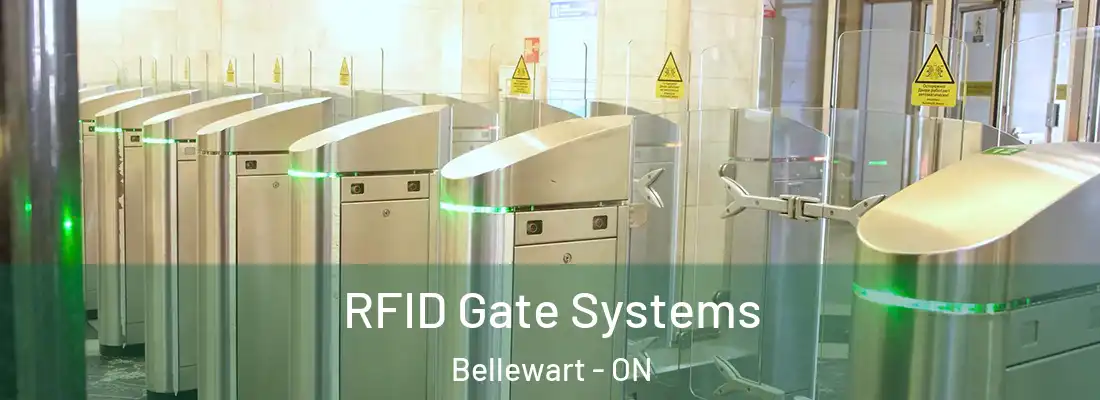 RFID Gate Systems Bellewart - ON