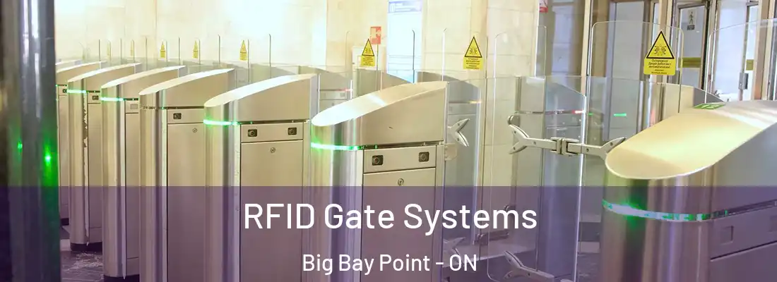  RFID Gate Systems Big Bay Point - ON