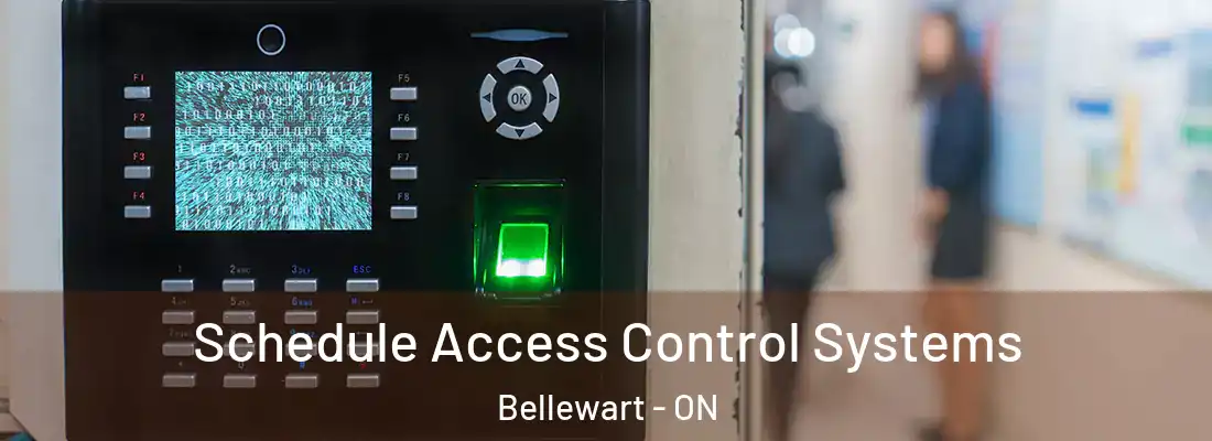  Schedule Access Control Systems Bellewart - ON