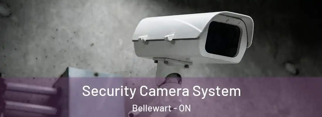  Security Camera System Bellewart - ON