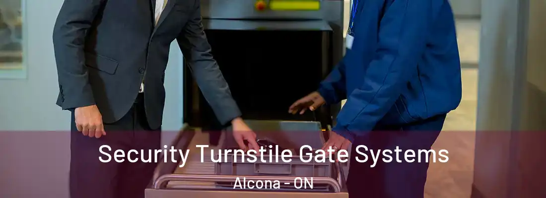  Security Turnstile Gate Systems Alcona - ON