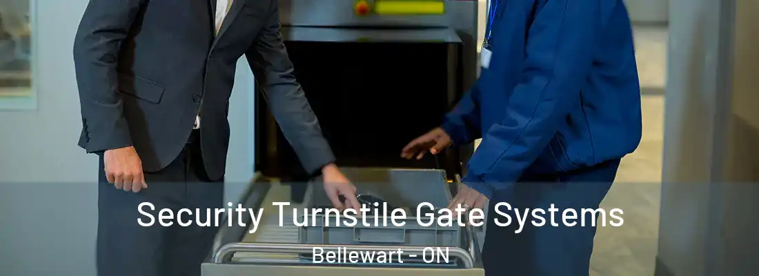  Security Turnstile Gate Systems Bellewart - ON