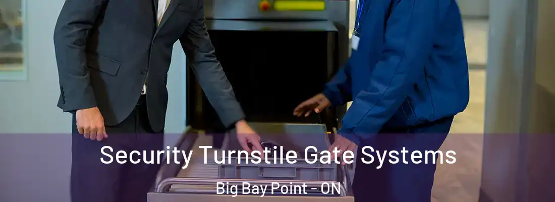  Security Turnstile Gate Systems Big Bay Point - ON