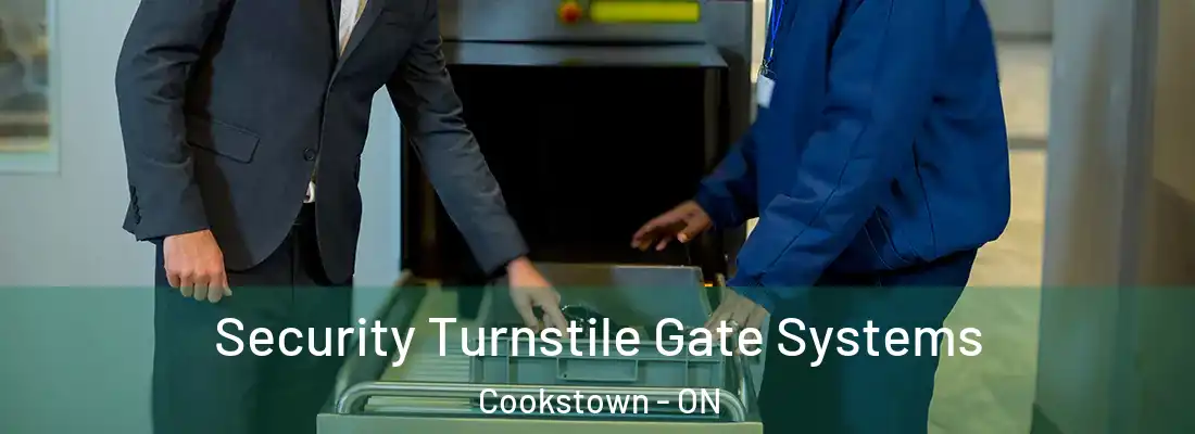  Security Turnstile Gate Systems Cookstown - ON